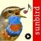 Bird Song Id UK